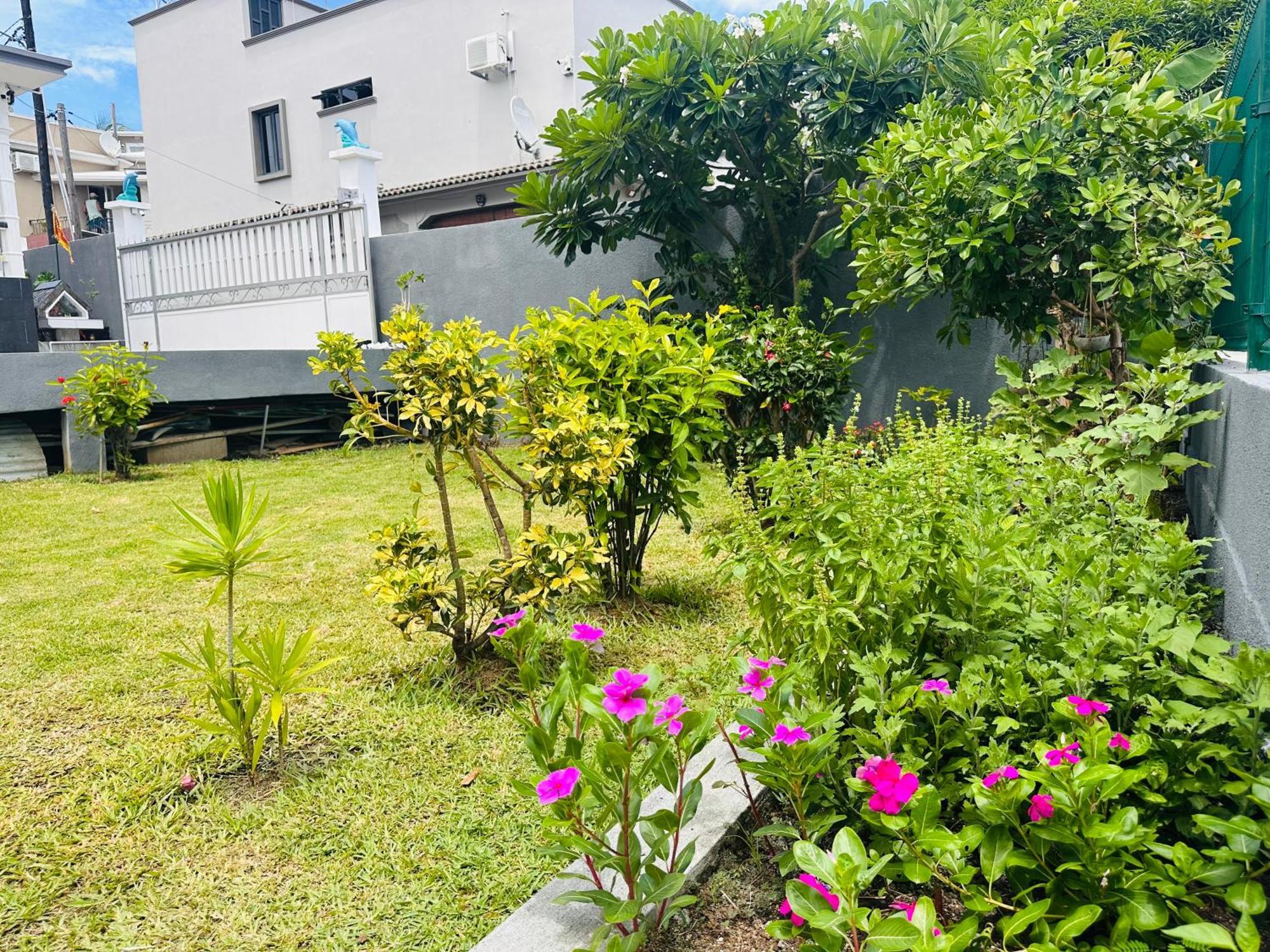 Lavender Hotel Le Morne Exterior photo