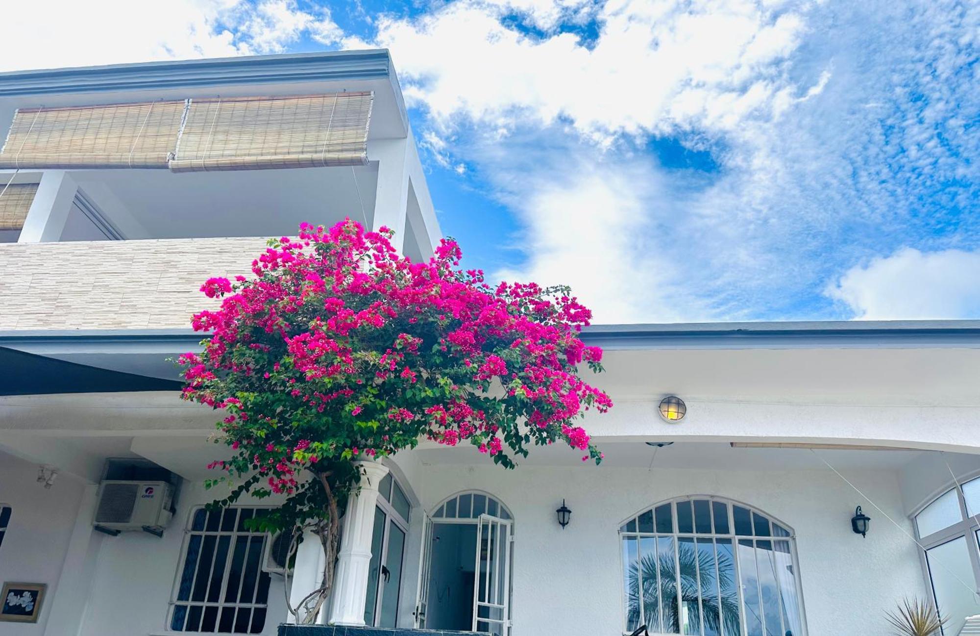 Lavender Hotel Le Morne Exterior photo
